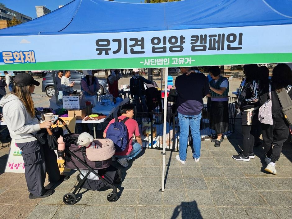 고양 동물교감치유 문화제 포스터 · 경기 축제
