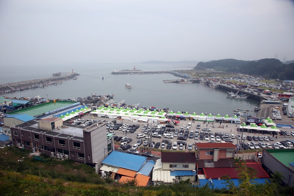 서천 홍원항 전어꽃게 축제 (4)