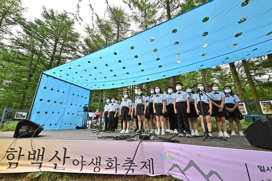 2024 함백산 야생화축제 1