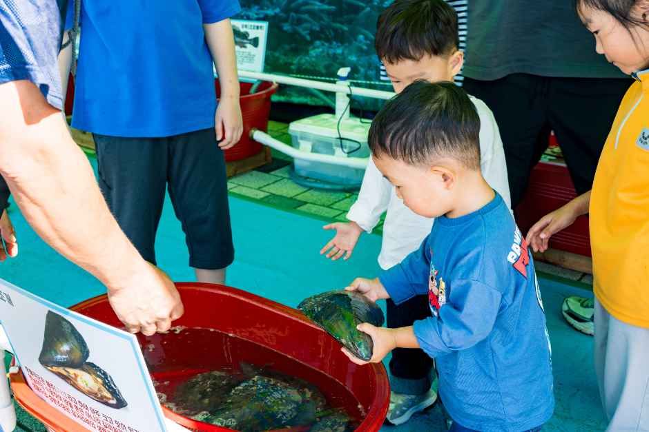 2026 무창포 신비의바닷길축제 (8).jpg