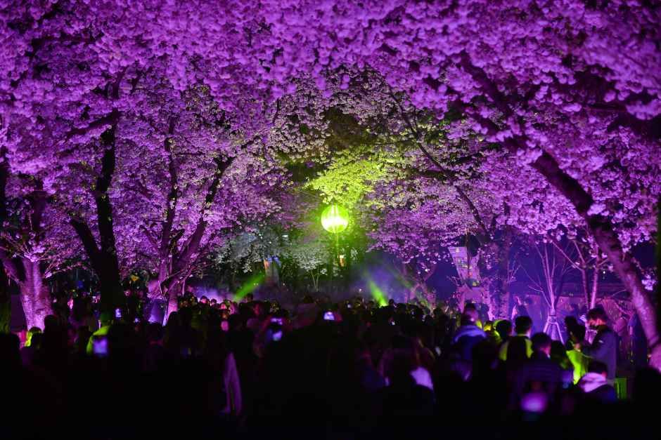 2026 경주 대릉원돌담길 축제 (1).jpg