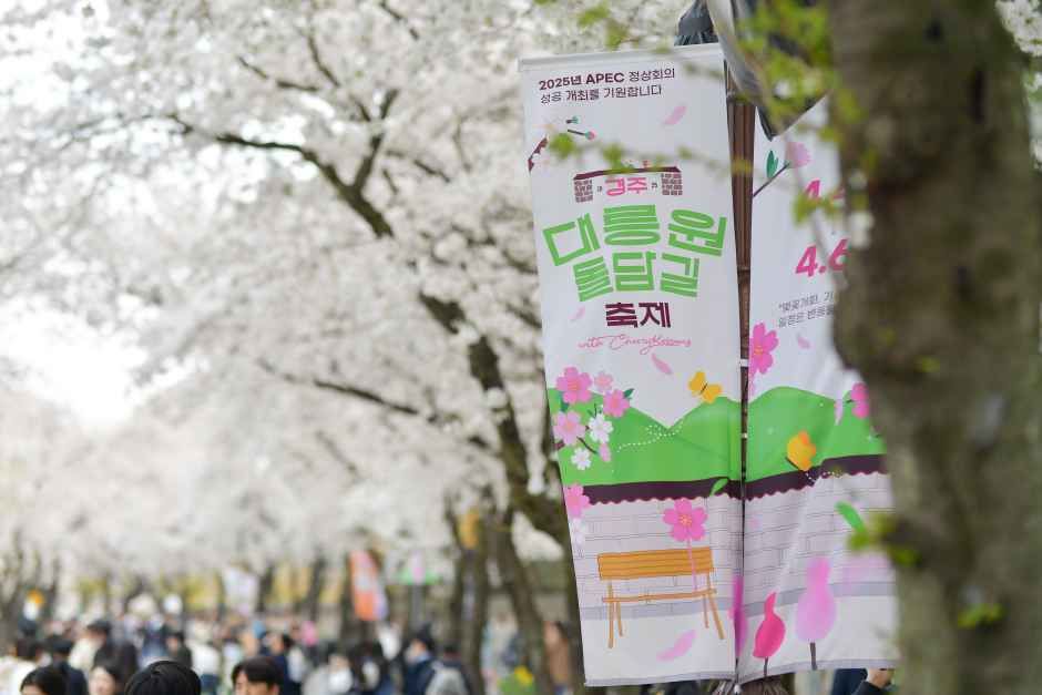 2026 경주 대릉원돌담길 축제 (8).jpg