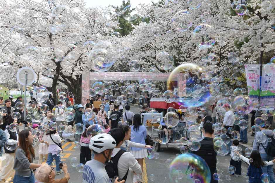 2026 경주 대릉원돌담길 축제 (6).jpg