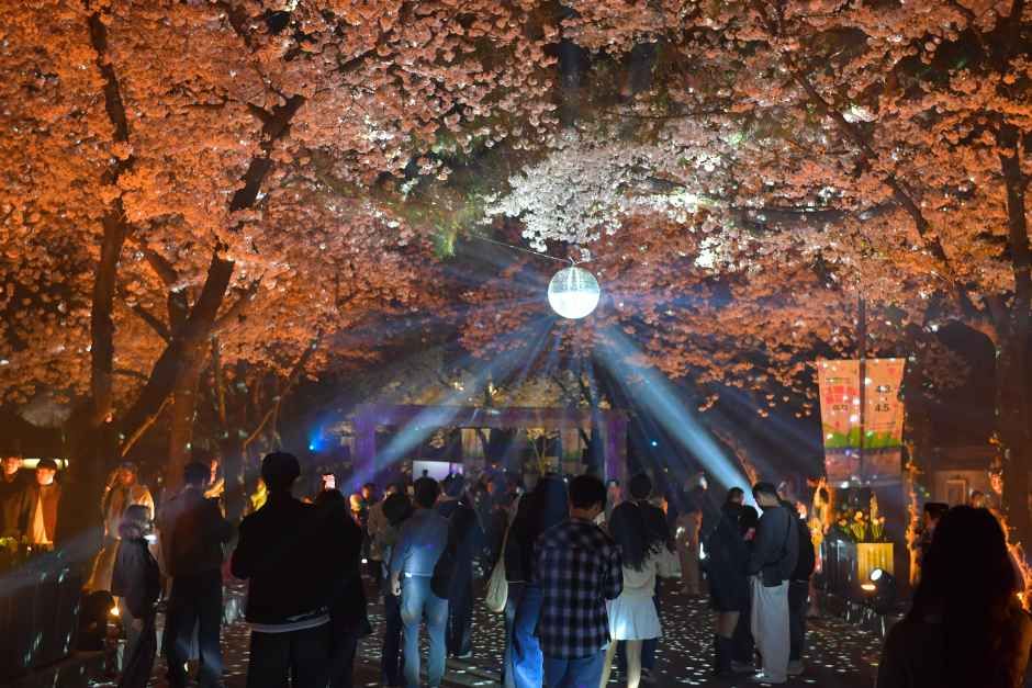 2026 경주 대릉원돌담길 축제 (1).jpg
