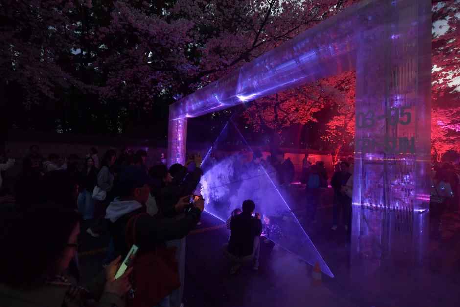 2026 경주 대릉원돌담길 축제 (5).jpg