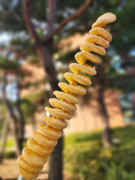 회오리감자