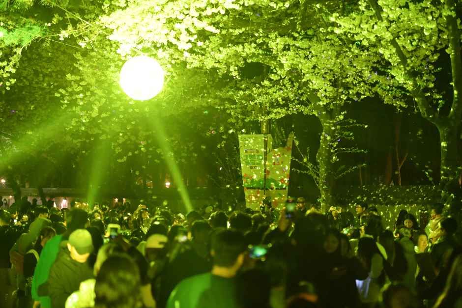 2026 경주 대릉원돌담길 축제 (2).jpg