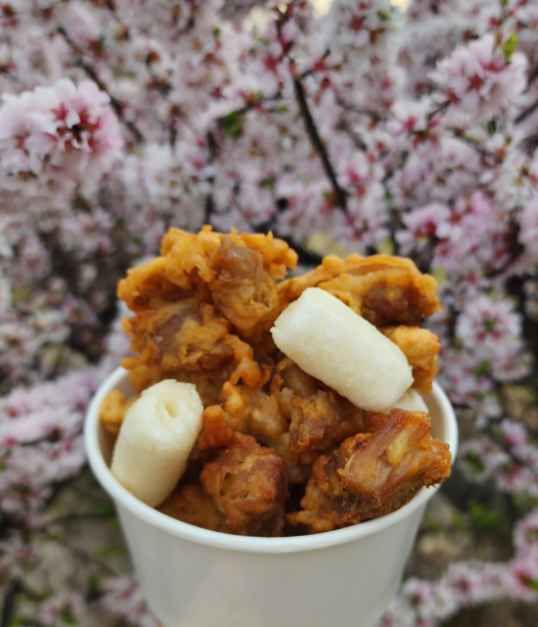 후라이드 레귤러