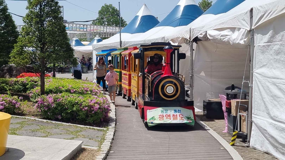 2024 강원n 홍천 산나물축제 12
