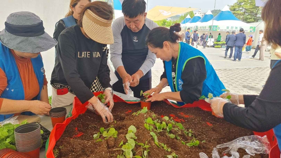 2024 강원n 홍천 산나물축제 3