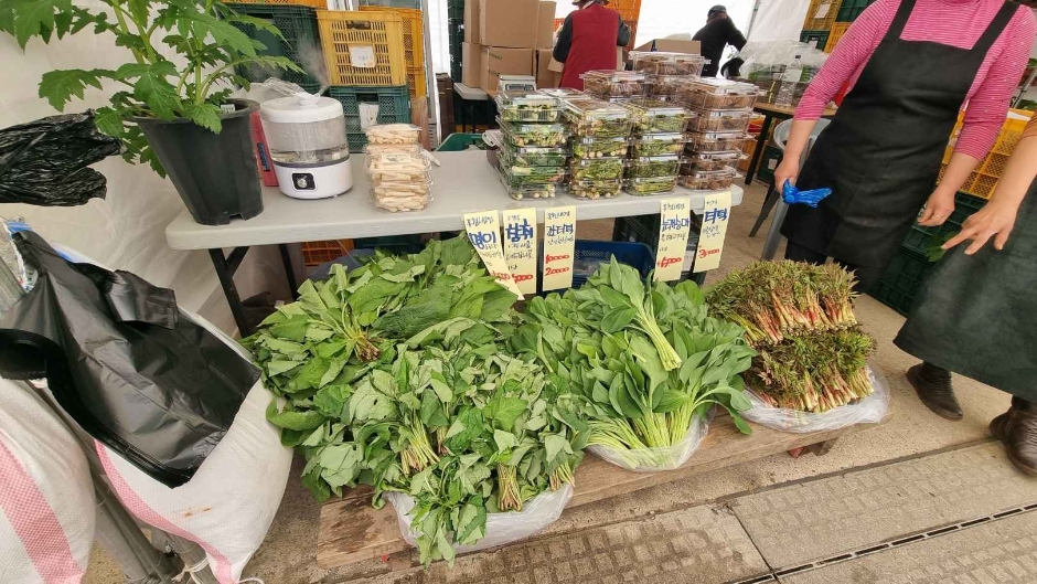 2024 강원n 홍천 산나물축제 4