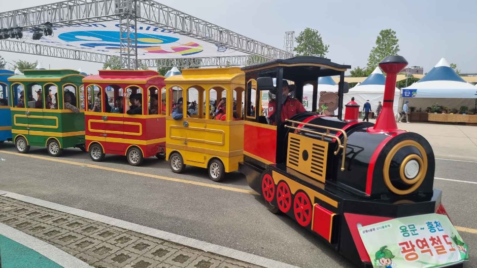 2024 강원n 홍천 산나물축제 6