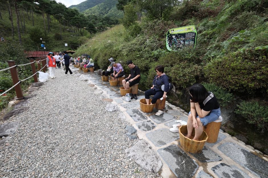 2025 산청한방약초축제 5
