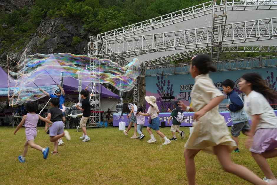 2026 무릉별유천지 라벤더축제 (7).JPG
