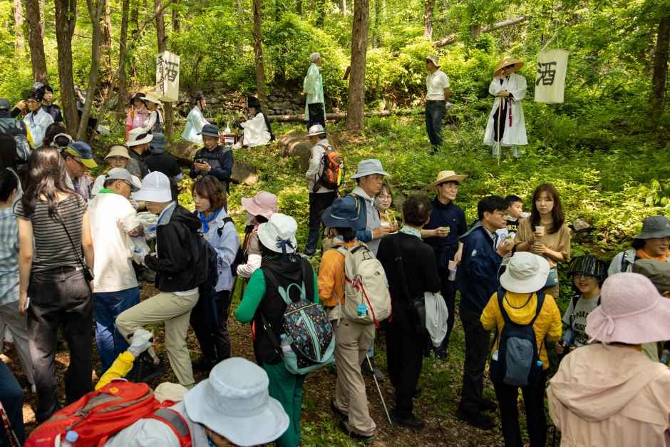 2026 영주 소백산철쭉제 (7).jpg