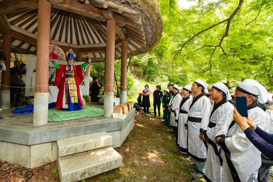 2026 영주 소백산철쭉제 (6).jpg