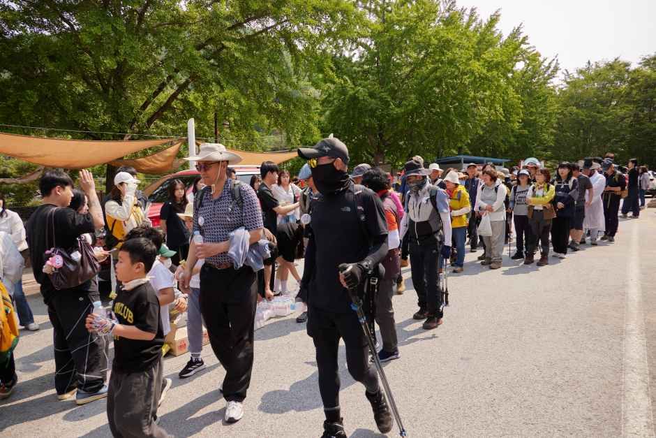 2026 영주 소백산철쭉제 (8).jpg