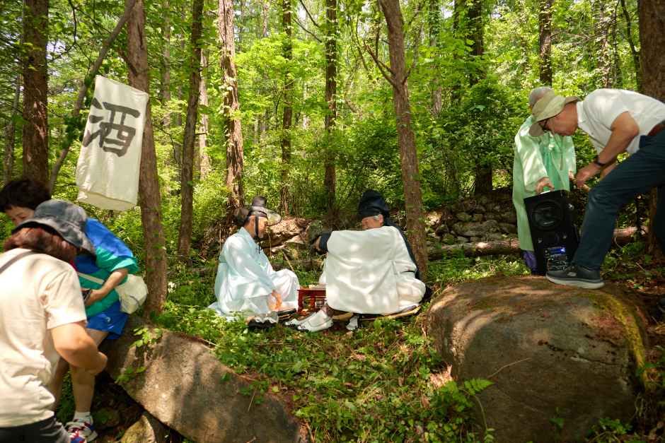 2026 영주 소백산철쭉제 (1).jpg