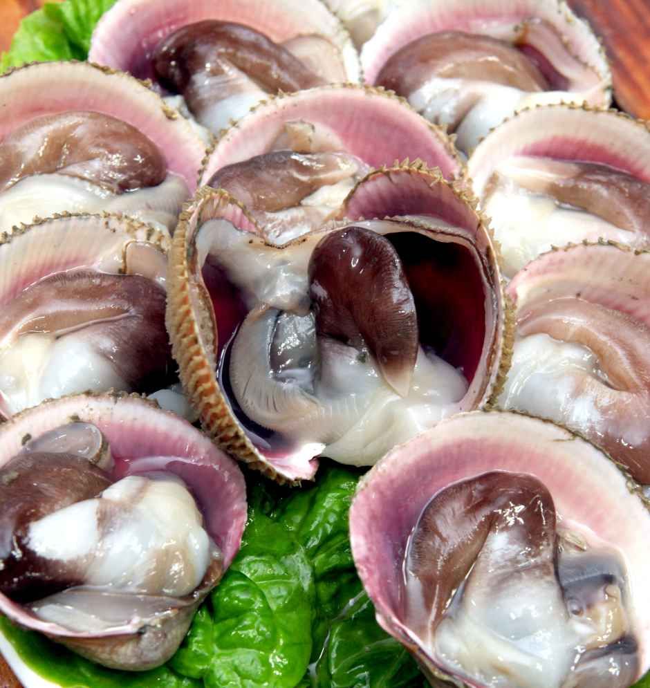 2026 홍성남당항 새조개축제 먹거리 2