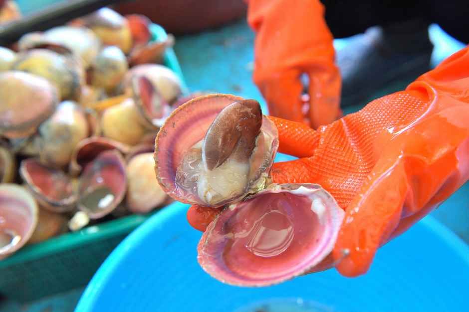2026 홍성남당항 새조개축제 먹거리 1
