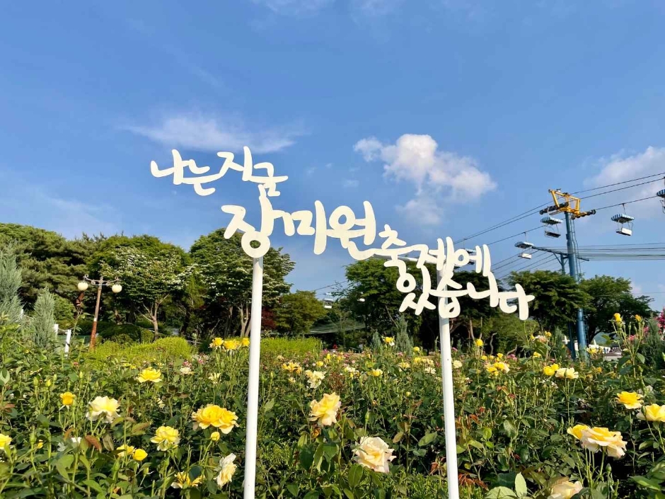 2024 서울대공원 장미원 축제 3