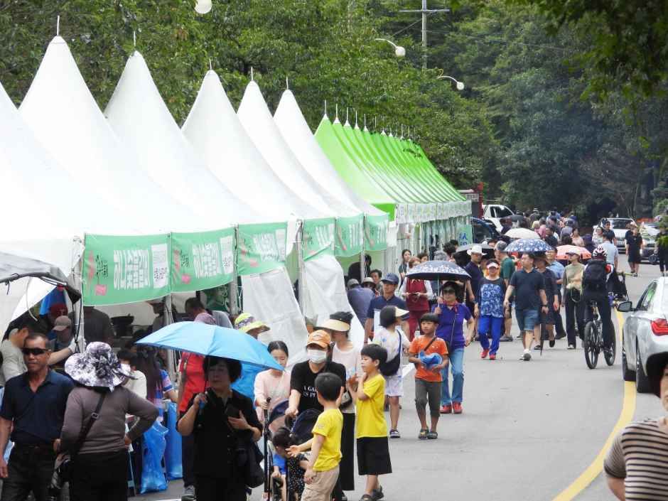 2026 함평모악산 꽃무릇축제  (5).jpg