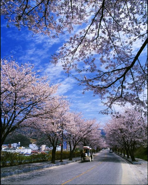 2025 수안보온천제 3