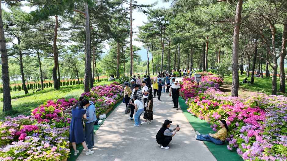 2026 Colorful Garden 자라섬 꽃 페스타  (4).jpg
