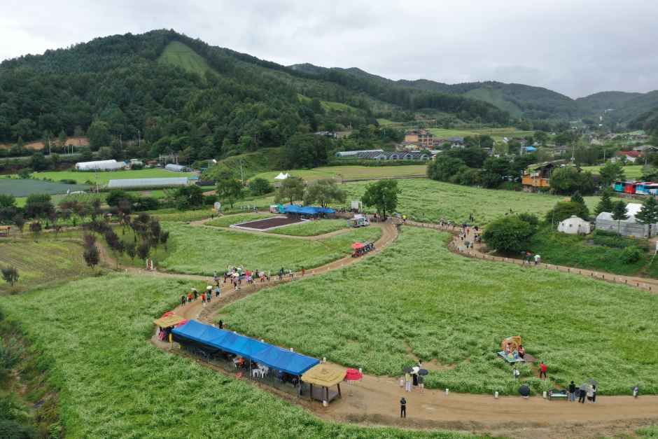 2026 평창효석문화제 (7).jpg