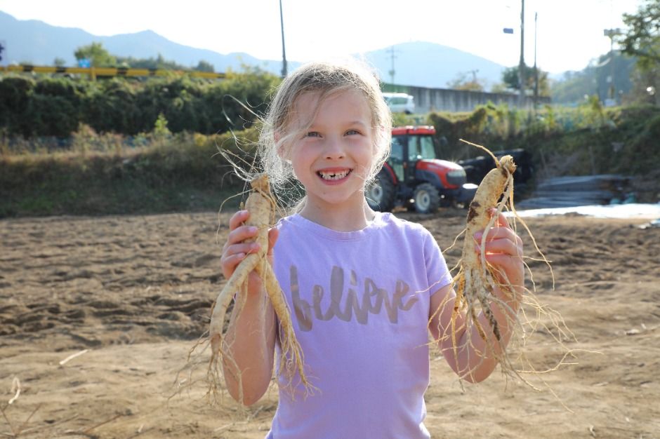 2025 금산세계인삼축제 1