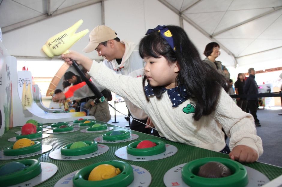 2025 금산세계인삼축제 4