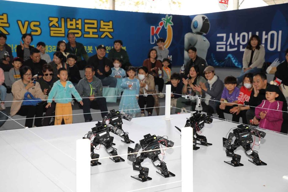 2024 금산세계인삼축제 3