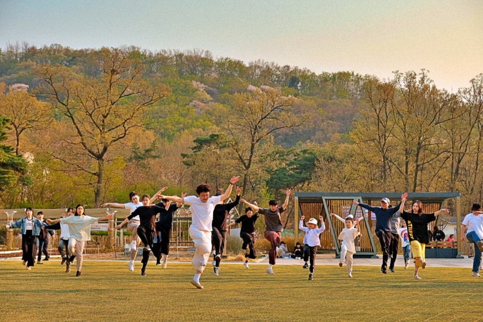 금천하모니축제 (4)