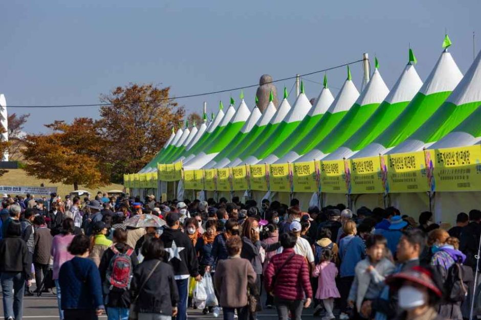 2024 파주개성인삼축제 5