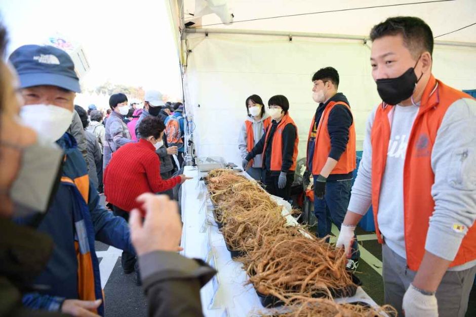 2024 파주개성인삼축제 6