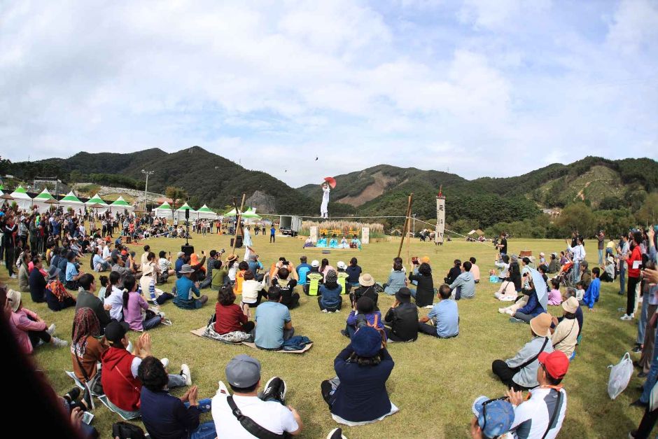 2024 정읍 구절초 꽃축제 12
