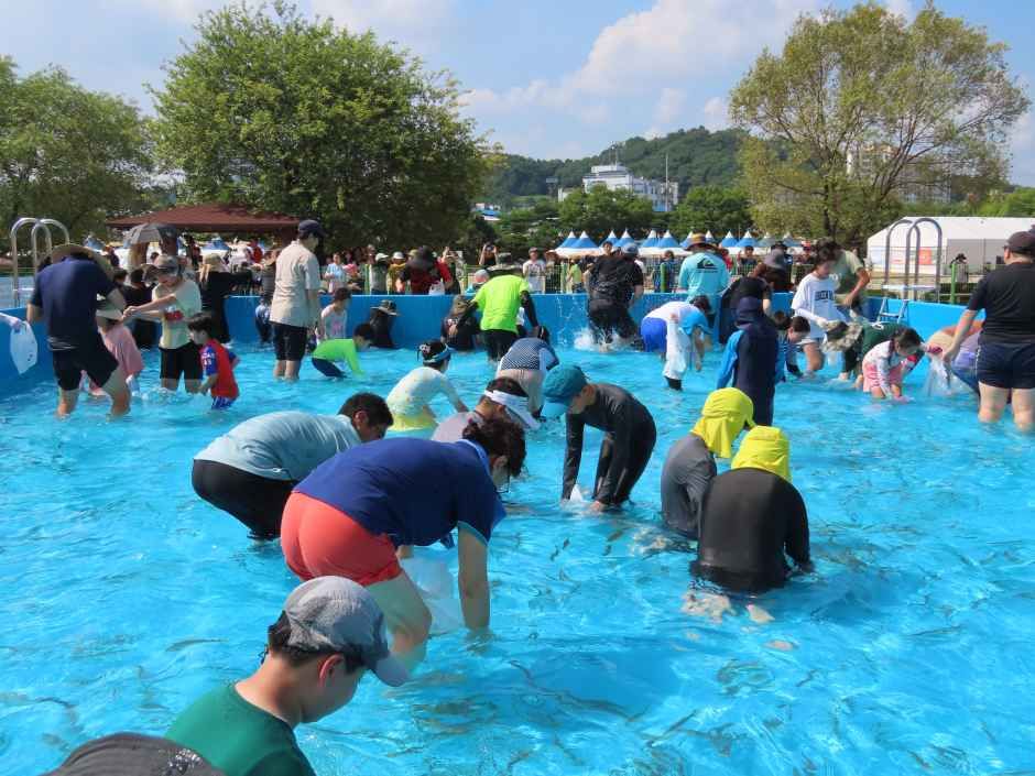 2026 봉화은어축제 (3).JPG