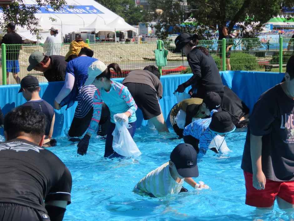 봉화은어축제 포스터 · 경북 축제