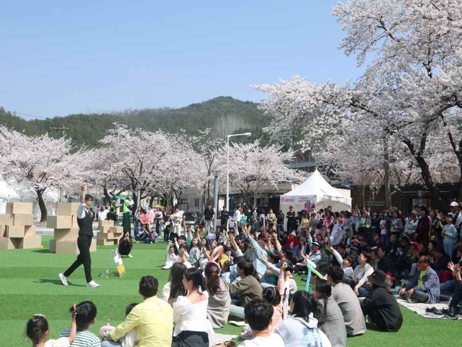 2026 제천 청풍호 벚꽃축제 (2).jpg