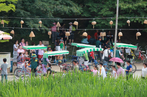 담양대나무축제 2015 (3)