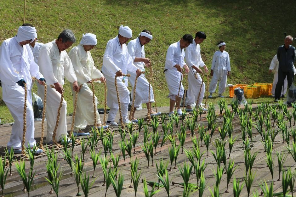 2025 담양 대나무축제 7