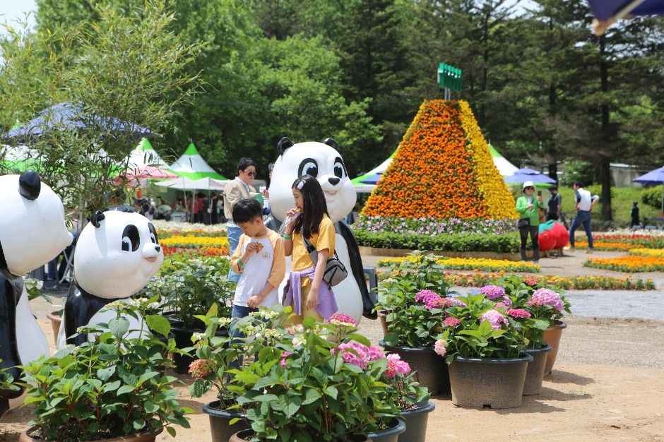 2025 담양 대나무축제 8