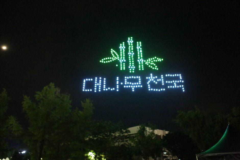 2025 담양 대나무축제 10