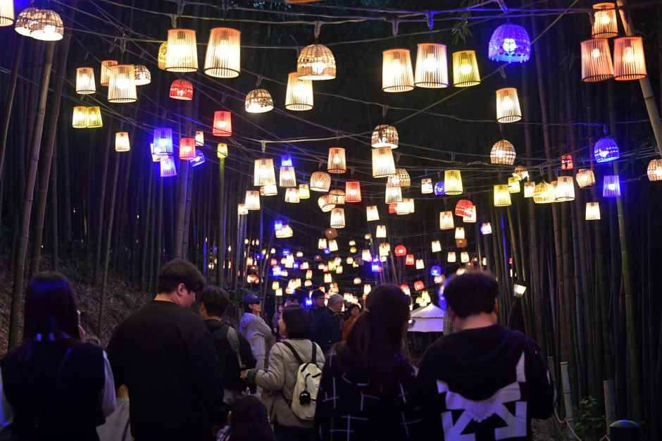 2026 담양 대나무축제  (8).jpg