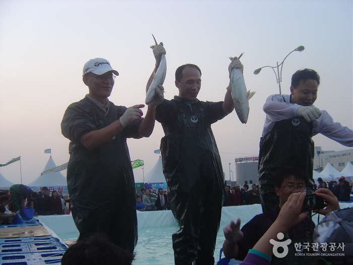 서귀포칠십리 및 최남단방어축제22