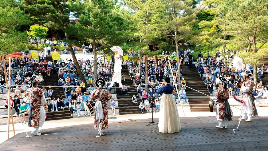  2025 청남대 봄꽃축제 영춘제 5