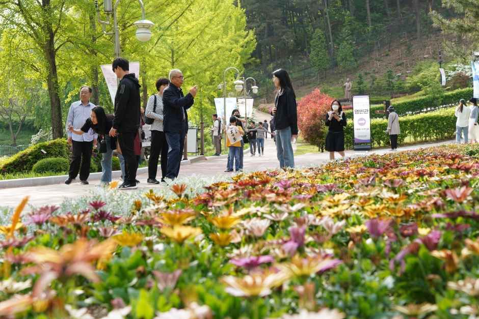 2026 청남대 봄꽃축제 영춘제 (5).JPG