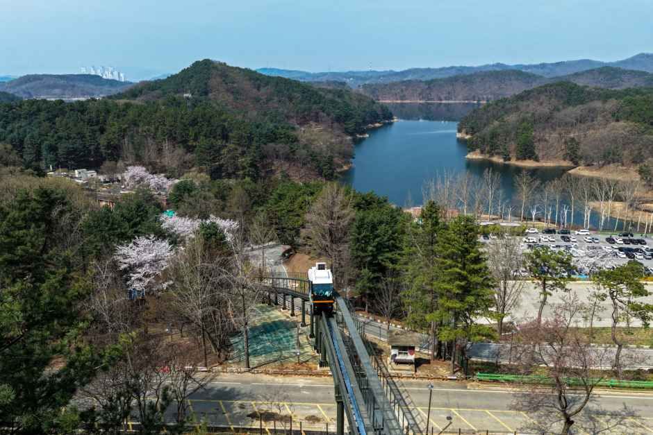 2026 청남대 봄꽃축제 영춘제 (2).jpg