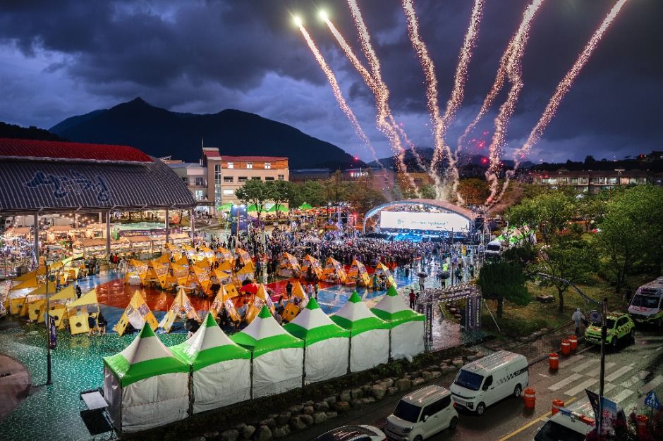 2025 ON산청빛나는여름밤페스티벌 2