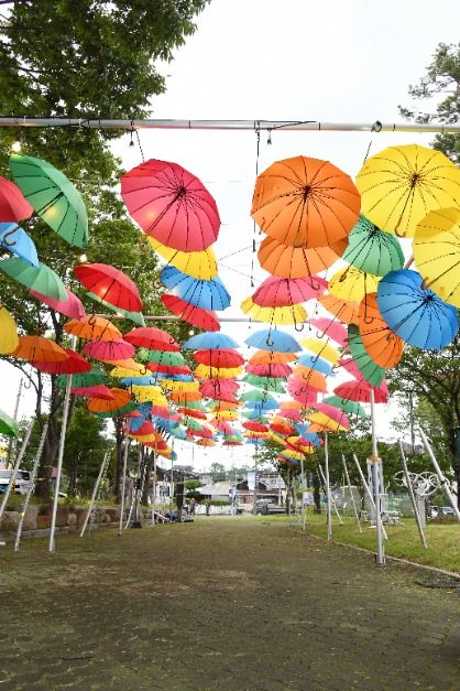 2025 ON산청빛나는여름밤페스티벌 5